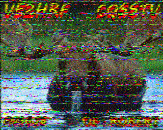 SSTV