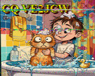 SSTV
