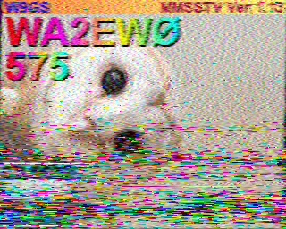 SSTV