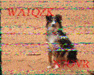 SSTV