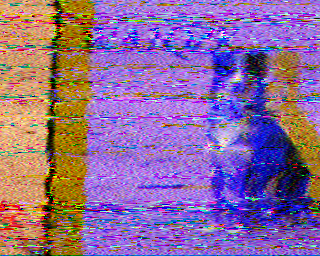 SSTV