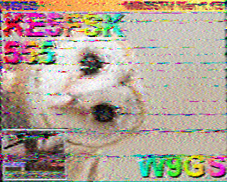 SSTV