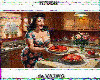 SSTV