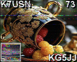 SSTV