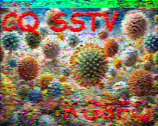 SSTV