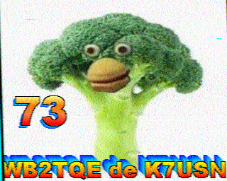 SSTV