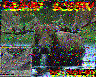 SSTV