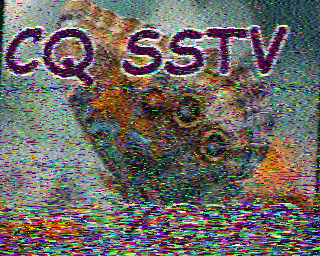 SSTV