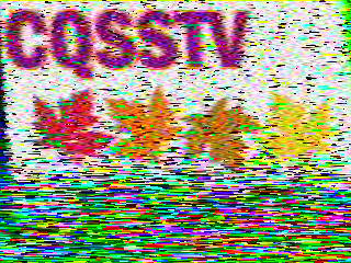 SSTV