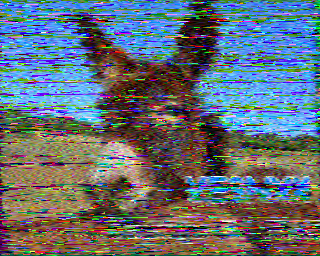 SSTV