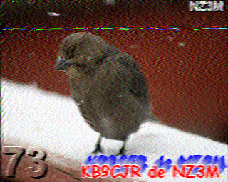 SSTV
