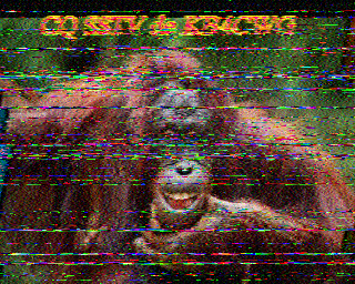 SSTV