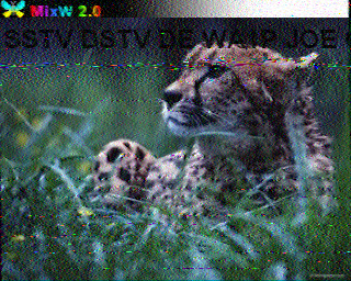 SSTV