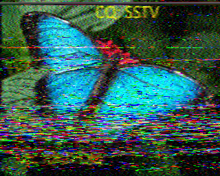 SSTV