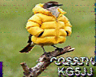 SSTV