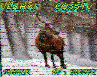 SSTV