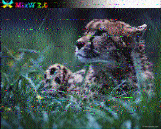 SSTV