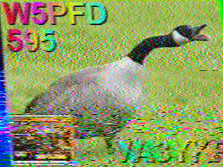 SSTV