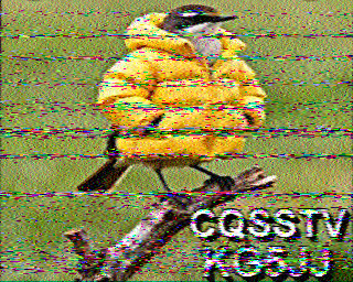 SSTV