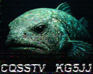 SSTV