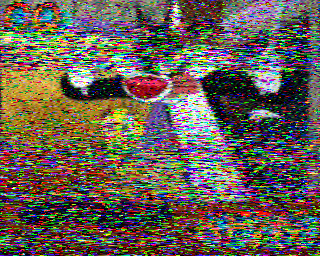 SSTV