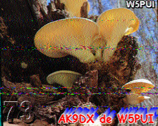 SSTV
