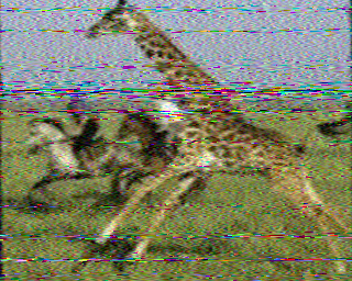 SSTV