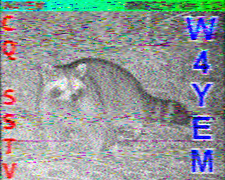 SSTV