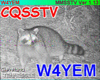 SSTV