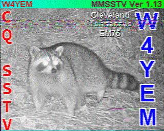 SSTV