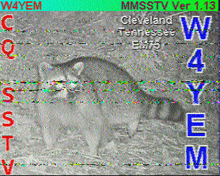 SSTV