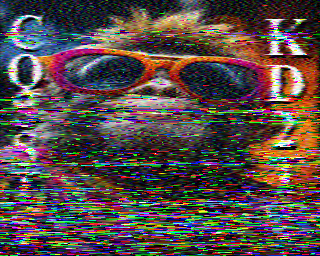 SSTV