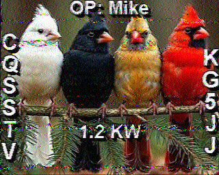 SSTV