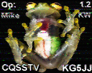 SSTV