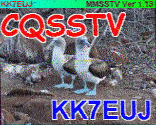 SSTV