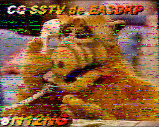 SSTV