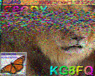 SSTV