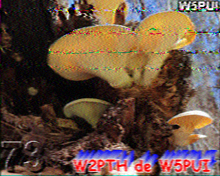 SSTV