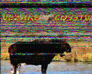 SSTV