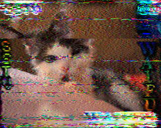 SSTV