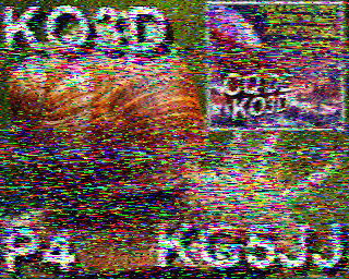 SSTV