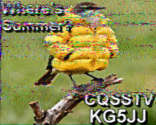 SSTV