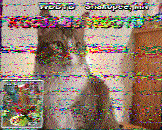 SSTV