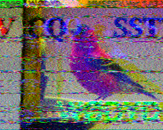 SSTV