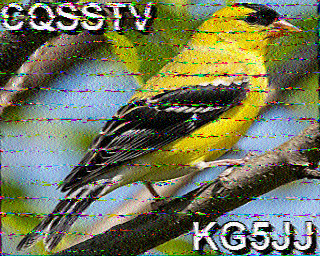SSTV