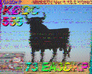 SSTV
