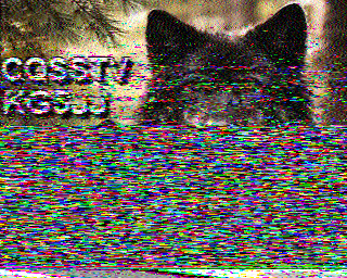 SSTV