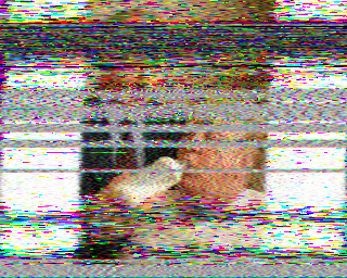 SSTV