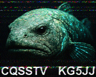 SSTV