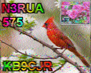 SSTV